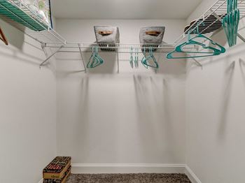 Spacious closet